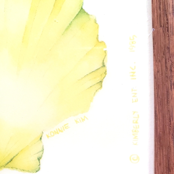 Konnie Kim Shell Decor - Picture 3 of 4